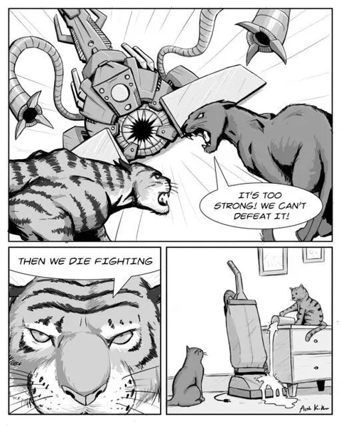 Cats Fight the Vacuum Cleaner