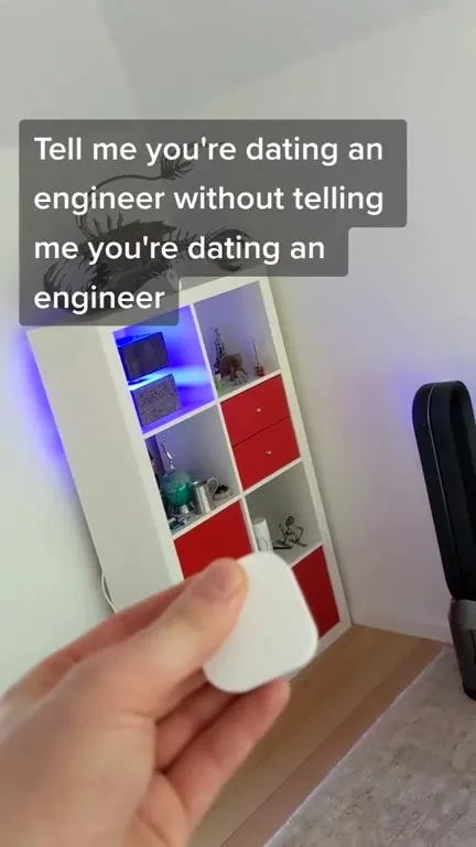 Dating an Engineer Reveal