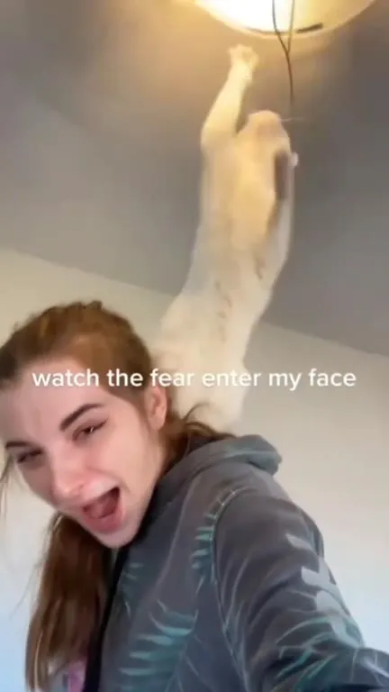 Watch the Fear Enter My Face