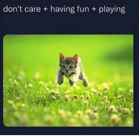 Don't Care Having Fun Cat