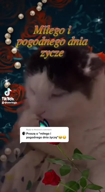Miłego i pogodnego dnia życzę
