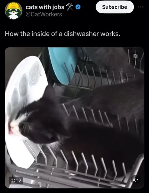 How a Dishwasher Works