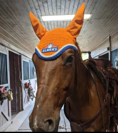 Horse Wearing a Horned Hat