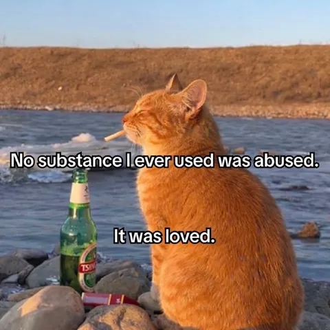 No Substance Was Abused