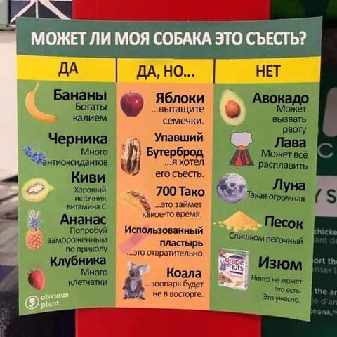 Что может съесть моя собака