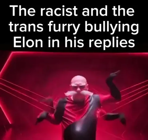 Bullies Fighting Elon in Replies