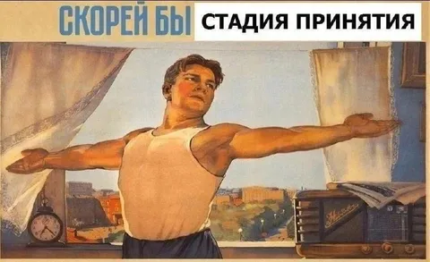 Скорей бы стадия принятия