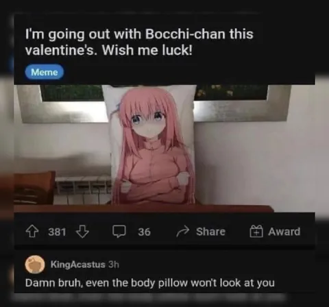 Bocchi-Chan Body Pillow Rejection