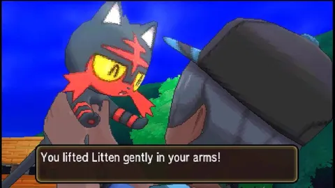 You Lifted Litten Gently