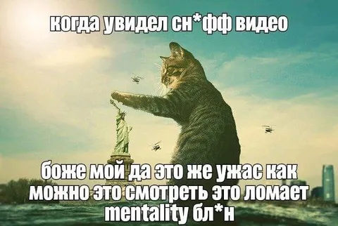 Кот увидел сн*фф видео