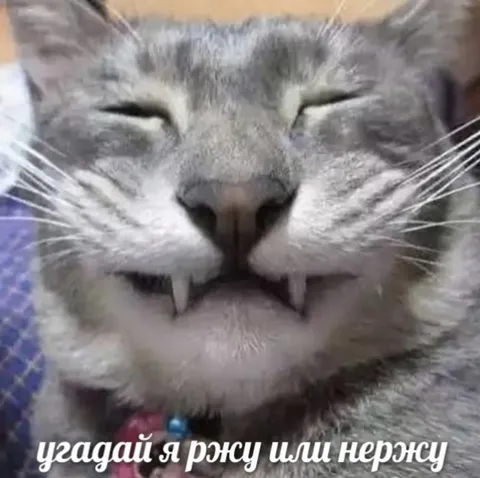 Угадай, я ржу или нервжу
