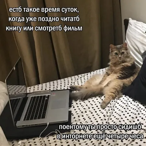 Поздно читать, но не поздно сидеть в интернете