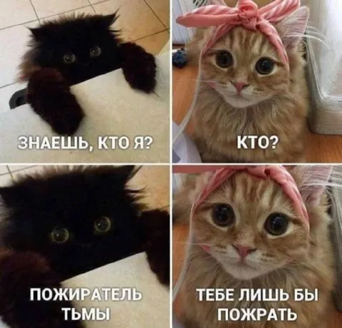 Пожиратель тьмы и голодная кошка