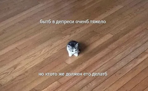 Котик преодолевает депрессию