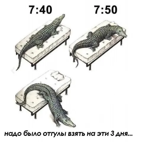 Надо было взять отгулы
