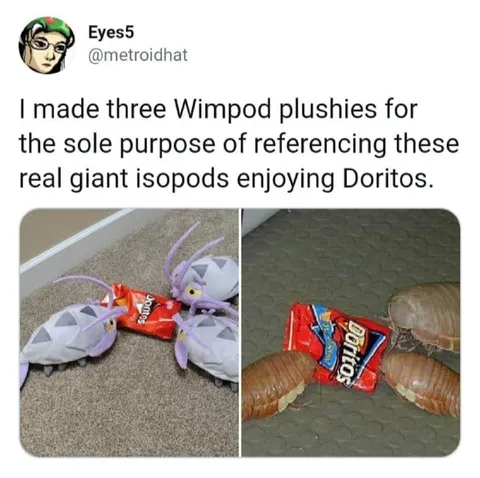 Giant Isopods Enjoying Doritos