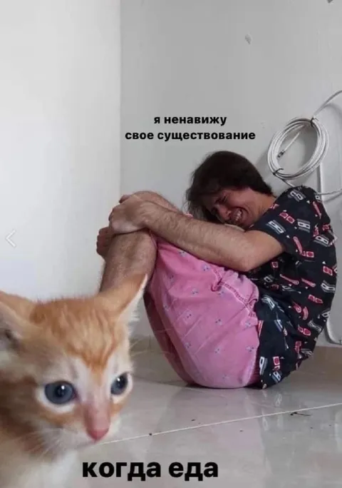 Когда еда спасает существование