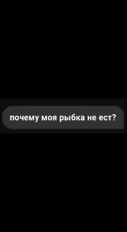 Почему рыбка не ест
