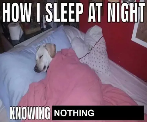 How I Sleep at Night Knowing Nothing