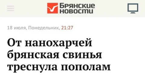 Брянская свинья треснула пополам