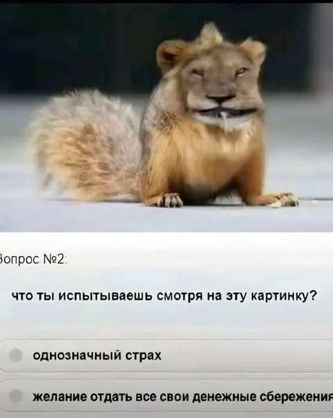 Что ты испытываешь, смотря на эту картинку