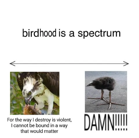 Birdhood Is a Spectrum