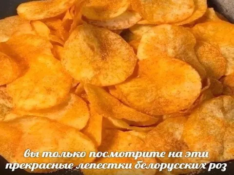 Лепестки белорусских роз