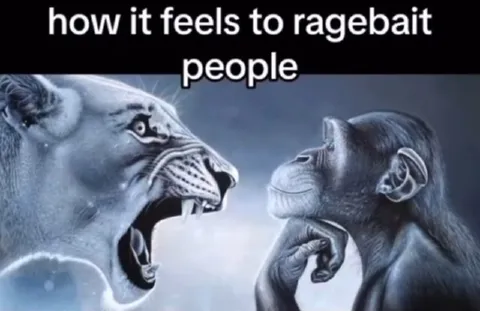 How It Feels to Ragebait People