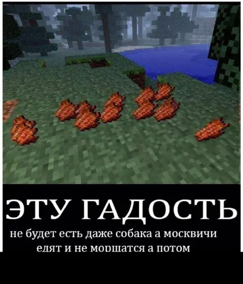 Москвичи едят эту гадость