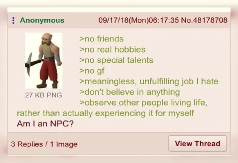 Am I an NPC?