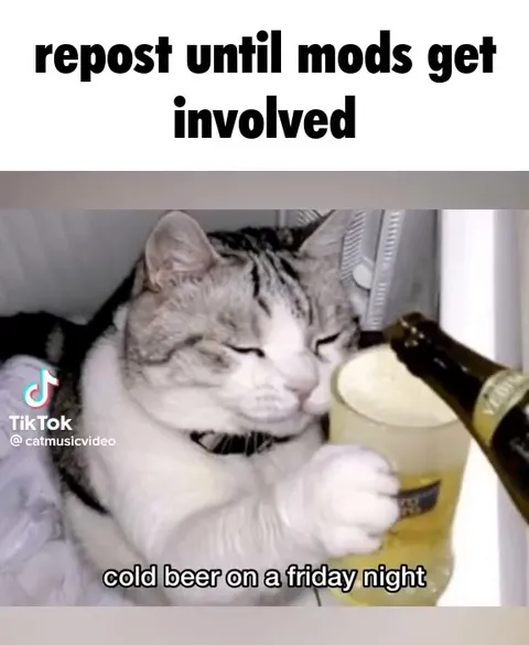 Cats Sing Country Song
