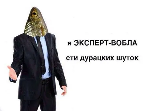 Эксперт по дурацким шуткам