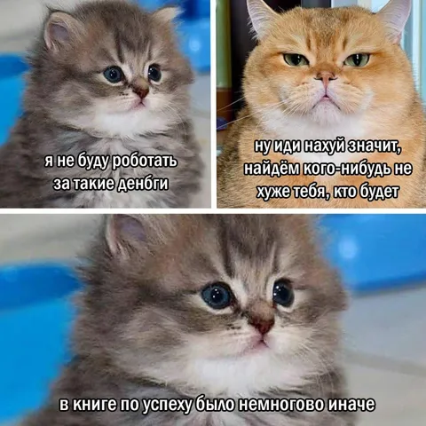 Книга по успеху была немного иначе