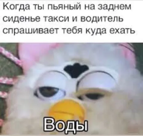 Пьяный пассажир просит воды