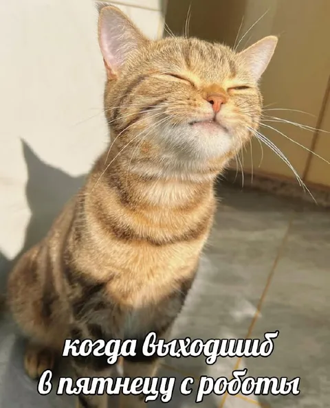 Выходишь с работы в пятницу