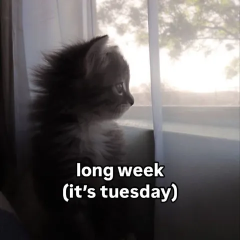 Long Week It’s Tuesday