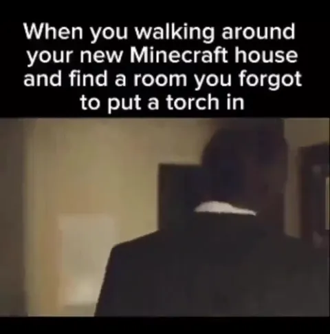 Forgot the Torch in Minecraft