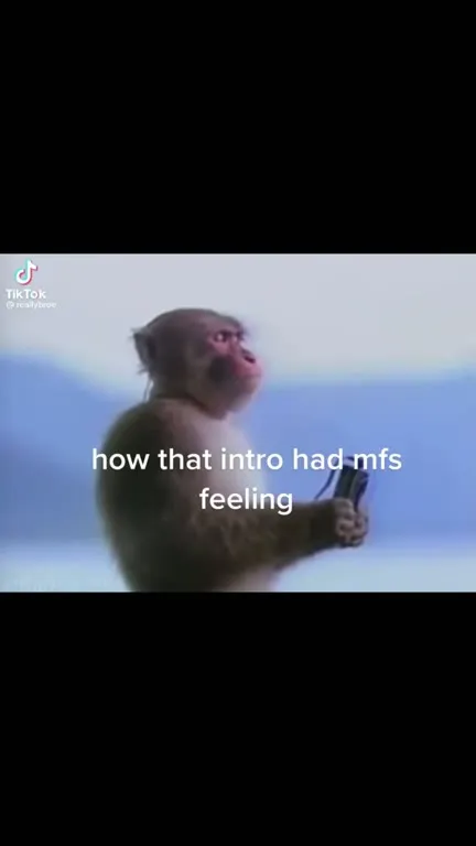 How That Intro Had Me Feeling