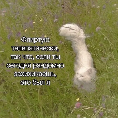 Флиртую телепатически