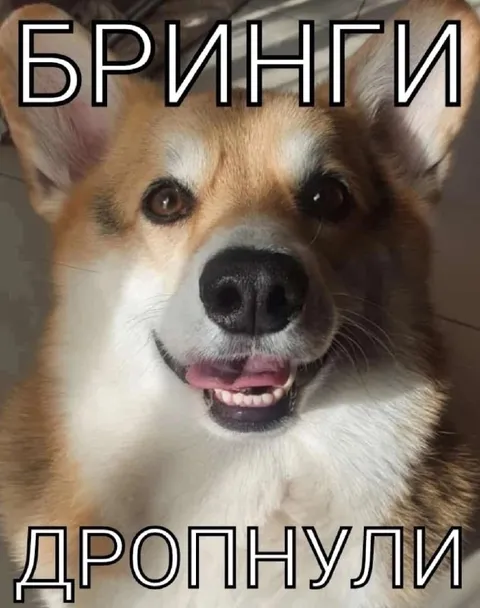 Бринги дропнули