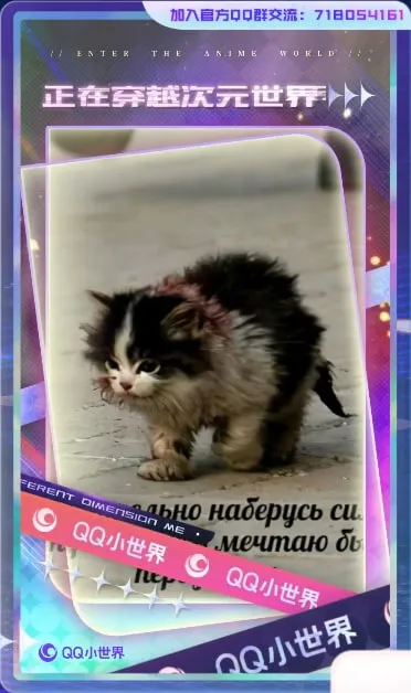Кот наберётся сил