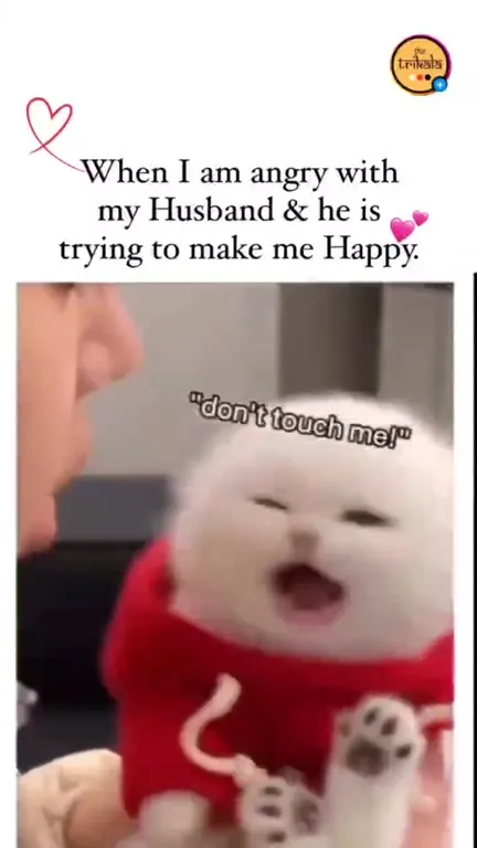 Angry Wife Says Don't Touch Me