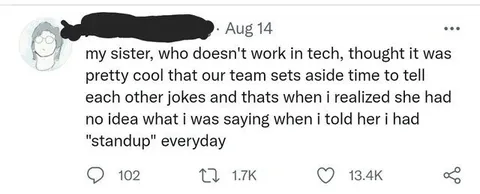 Sister Misunderstands Daily Standup