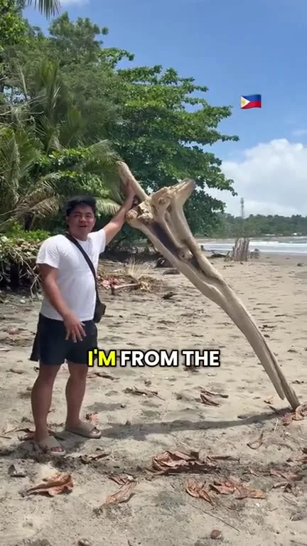 Stick Nation Driftwood Sword