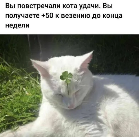 Кот удачи с клевером