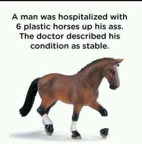 Stable Horse Medical Pun
