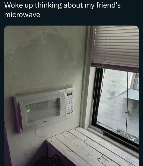 Friend's Microwave Nightmare
