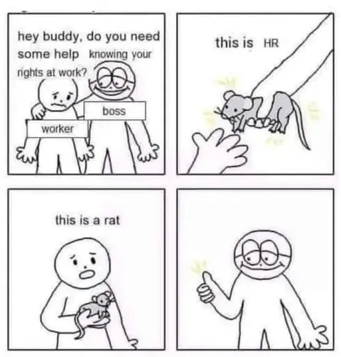 HR Is Just a Rat