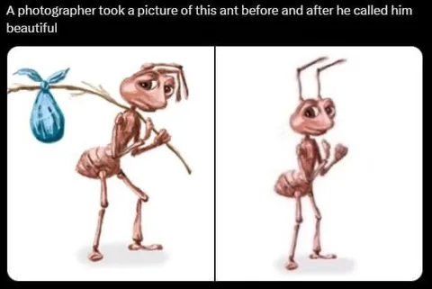 Ant Called Beautiful