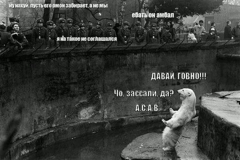 Омон забирает амбала
